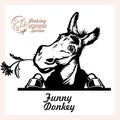 Peeking Funny Donkey - Funny Donkey peeking out - face head isolated on white Royalty Free Stock Photo