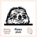Peeking Funny Sloth - Funny Sloth peeking out - face head isolated on white
