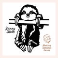 Peeking Funny Sloth - Funny Sloth peeking out - face head isolated on white Royalty Free Stock Photo