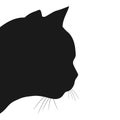 Peeking out cat head silhouette, side view. Cat face silhouette in profile Royalty Free Stock Photo