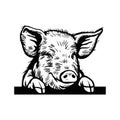 Peeking Pig head. Hand drawn sketch steak meat products with sausages and salami, pig farm fresh food, black and white