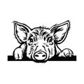 Peeking Pig head. Hand drawn sketch steak meat products with sausages and salami, pig farm fresh food, black and white