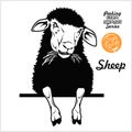 Peeking Sheep chews hay - Cheerful Sheep peeking out - face head isolated on white - vector stock Royalty Free Stock Photo