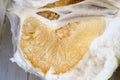 Fresh grapefruit pulp on white background Royalty Free Stock Photo