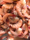 Peel and Eat Fresh Shrimp