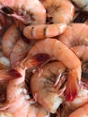 Peel and Eat Fresh Shrimp