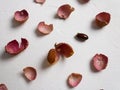 Peel from fresh lychees on white background. Food pattern Royalty Free Stock Photo