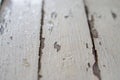 Peel Old white wood background,texture. Royalty Free Stock Photo