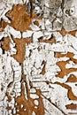 Peel painted rusty surface texture Royalty Free Stock Photo