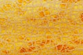 The peel of a ripe yellow melon with texture tracks, full screen. Melon variety torpedo Royalty Free Stock Photo