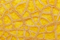 The peel of a ripe yellow melon with texture tracks, full screen. Melon variety torpedo Royalty Free Stock Photo