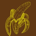 Peeled banana fruit, Organic food, Healthy food. Engraved hand-drawn vintage retro vector illustration. Banana highlighted on a Royalty Free Stock Photo