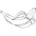 Peeled banana line art Royalty Free Stock Photo