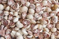 Peeled betel nuts drying