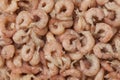 Peeled brown shrimps Royalty Free Stock Photo