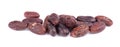 Peeled cacao beans, isolated on white background. Roasted and aromatic cocoa beans, natural chocolate.