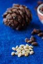 Peeled cedar or pine nuts with pine cone on blue surface. Royalty Free Stock Photo