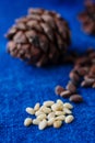 peeled cedar or pine nuts with pine cone on blue surface. Royalty Free Stock Photo