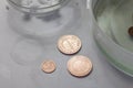 Peeled copper coins lie on the table surface. Corroded coins are lying nearby in a container with phosphoric acid