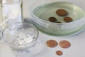 Peeled copper coins lie on the table surface. Corroded coins are lying nearby in a container with phosphoric acid