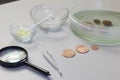 Peeled copper coins lie on the table surface. Corroded coins are lying nearby in a container with phosphoric acid. Sulfuric
