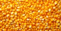 Peeled corn cob, yellow seeds, top view - AI generated image Royalty Free Stock Photo