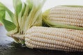 Peeled corn, elote maiz mexican food in mexico