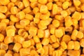 Peeled corn grain closeup