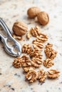 Peeled dried walnut kernels on kitchen table Royalty Free Stock Photo