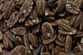 Peeled dry brown walnuts seeds in bulk. Royalty Free Stock Photo