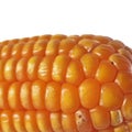 The peeled ear of corn, a piece of and seeds Royalty Free Stock Photo