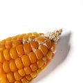 The peeled ear of corn, a piece of and seeds Royalty Free Stock Photo