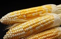 Fresh corn on cobs closeup Royalty Free Stock Photo