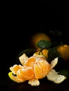 Peeled fresh clementine or tangerines with leaves, on a dark slate background. Near slices of mandarin. In the background a group Royalty Free Stock Photo