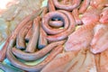 Peeled fresh eel on display Royalty Free Stock Photo