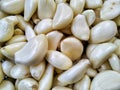 Peeled garlic cloves, ingredients for making seasonings and economically valuable