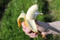 Half peeled banana in hand Royalty Free Stock Photo