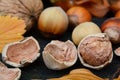 Peeled hazelnut close up Royalty Free Stock Photo
