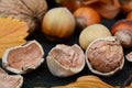 Peeled hazelnut close up