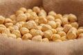 Peeled hazelnut kernels on a burlap cloth. Shelled filbert nuts Royalty Free Stock Photo