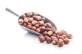 Peeled hazelnut kernels in scoop isolated on white background Royalty Free Stock Photo
