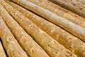 Peeled logs Royalty Free Stock Photo