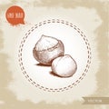 Peeled macadamia nut seed and with shell. Hand drawn sketch style vector illustration isolated on retro background. Botanical draw