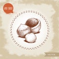 Peeled macadamia nut seed and with shell. Hand drawn sketch style vector illustration isolated on retro background. Botanical draw Royalty Free Stock Photo