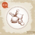 Peeled macadamia nut seed and with shell. Hand drawn sketch style vector illustration isolated on retro background. Botanical draw Royalty Free Stock Photo
