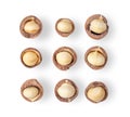 Peeled Macadamia nut on a white background. top view