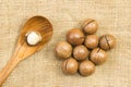 Peeled macadamia nut and wooden spoon