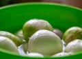 Peeled onions in a green bowl, onions prepared for home preservation, autumn harvest time