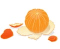 Peeled orange Royalty Free Stock Photo