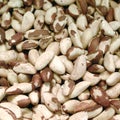 Peeled peacan nuts Royalty Free Stock Photo